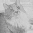 his0610's profile image