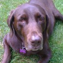 Seth Gorman - @steelsgorman - Twitter