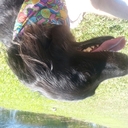 Bernard Reul - @bernieburn5745 - Twitter