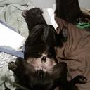 Young Marcus Kim - @YoungMarcusKim - Twitter