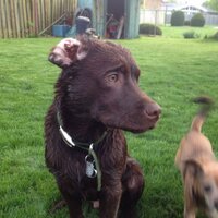 RDerbs (@robderbysupport) 's Twitter Profile