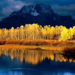 rush37037's profile picture. 