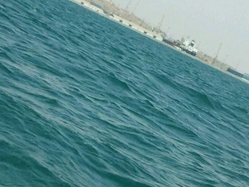 soonh1414's profile picture. 