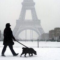 jw (jay) ronken (@jwmex) 's Twitter Profile