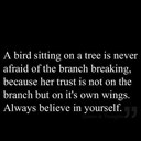 Andrew Seipp - @drewthejew69 - Twitter