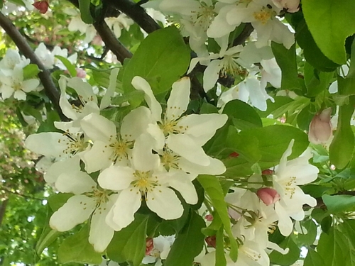 kumnam3138's profile picture. 어두운시절 가면 봄이오네