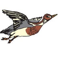 Gundjeihmi Jabiru (@mirarrcountry) 's Twitter Profile