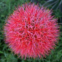 onlyone91137's profile picture. 