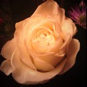 Lillian Ryan - @ForeverLillian - Twitter