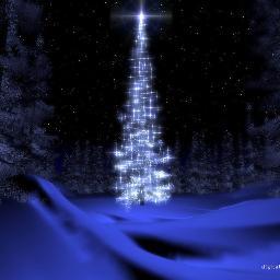 default79028's profile picture. 