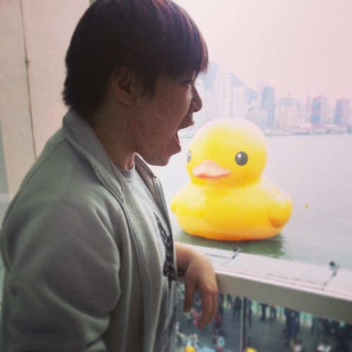 whyblog2012's profile picture. 