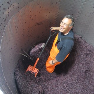 bromondillo's profile picture. 