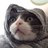 TorrillaF's profile image