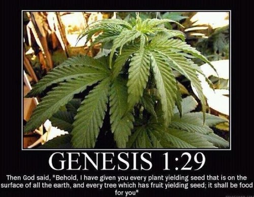 BLOW'N PURP IS MY RELIGION!!! BLOW'N PURP IS MY LIFE!!!