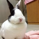 Amber wei - @WeiAmber - Twitter