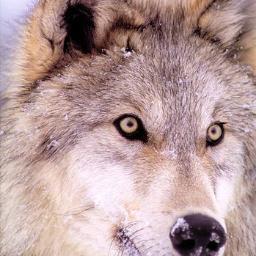 parser63's profile picture. 