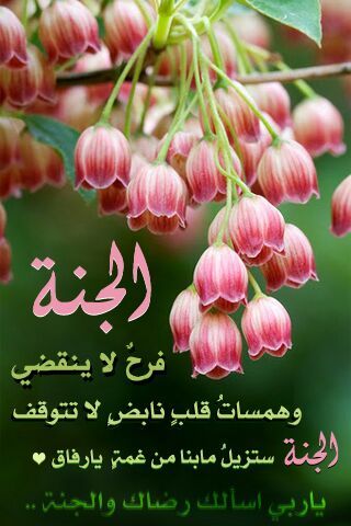اللهم اني اسألك الجنه