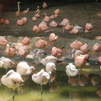 Fahriye AYDIN TEKİN (@fahriyeaydintek) Twitter profile photo