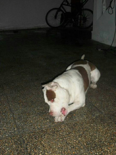 Mike830414's profile picture. 