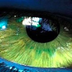 O estás creciendo o te estás marchitando. No existe término medio. Incluso si te quedas quieto, te marchitas...
