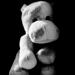 SolanoBankrupt's profile picture. Start fresh. Get your business back on track. Following credit repair and bankruptcy service opinions to share with bankruptcy lawyers here.