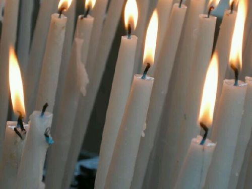 Lavoriamo per riunire i movimenti cattolici a Roma