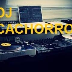 DJCACHORRO96's profile picture. 