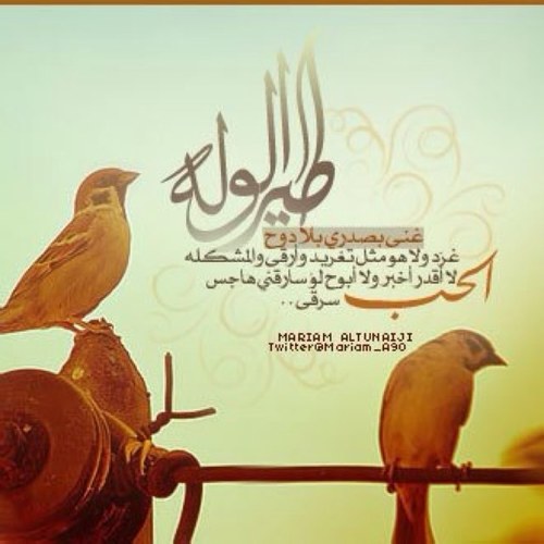 توب اماراتي مربرب
