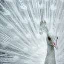 Fiona McCall - @FionaMcCall - Twitter