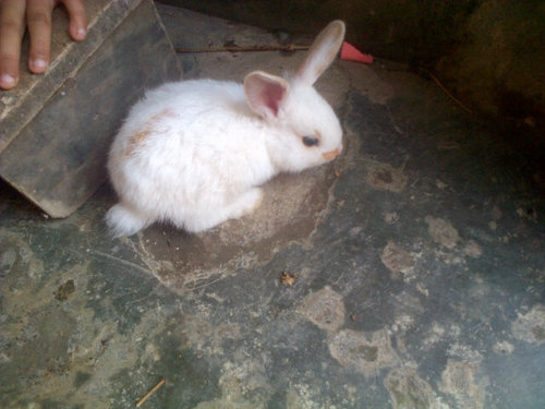Pekerja mlm.