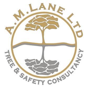 We provide expert tree related advice to anyone from private home owners to multi-national companies as well as H&S advice to small businesses.Tweets by Tony.