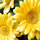 Michael Decoteau - @MichaelDecotea3 - Twitter