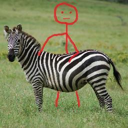 *says PSSST and snaps fingers at wild zebra*

*zebra sits and stops barking*

http://t.co/Tuh361t1u1