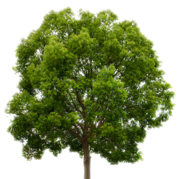 ErikRoznbeker's profile picture. 