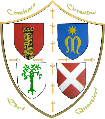 proiettivane's profile picture. calcio a 5