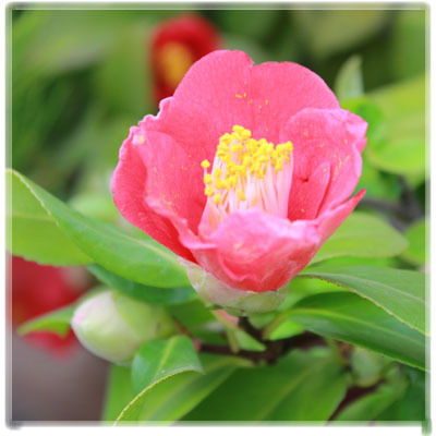 hwang6606's profile picture. 