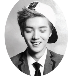 你好我盧漢。不錯 是歷史最悠久之一 EXO!! [ #RealParody #VirtualIdols]
