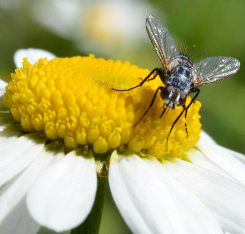 IlMondoIntero's profile picture. Questa strana convinzione che un mi piace può aiutare (bio Cit)