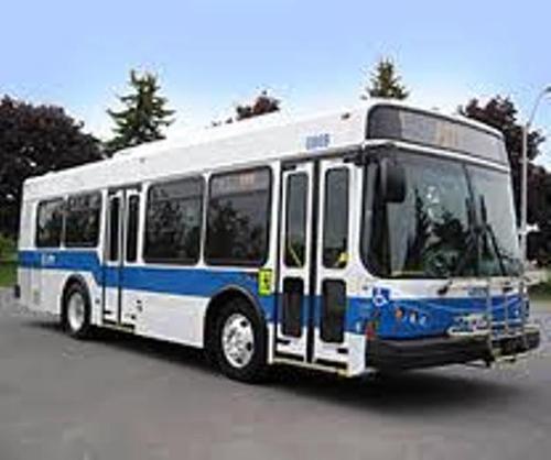 TransitAccess's profile picture. We believe in good travel and adventure. Allow us to share part of our travels with you