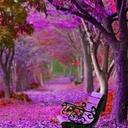 Shaista Arain - @PearlPolite - Twitter