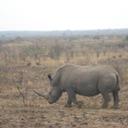 Melanie Devine - @MelanieDevine2 - Twitter