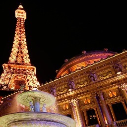 GerriMcCann's profile picture. 