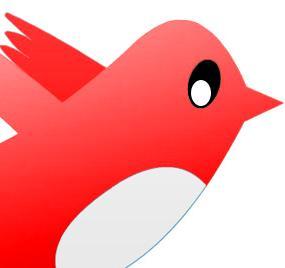 seguidorr's profile picture. 