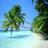 mara_ordez's profile image