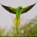 محمد قاري الهاشمي (@00_m0hammed) Twitter