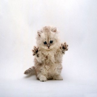 venuspower1's profile picture. 