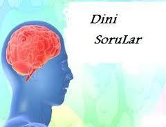 DinBilgiler's profile picture. 