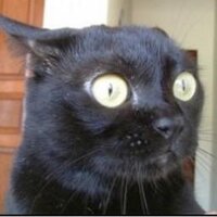 AM (@mincenhofs) 's Twitter Profile