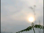 Bangga As-salam♥