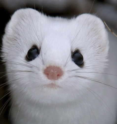 somehowrandom's profile picture. 